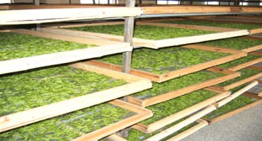 倉庫除濕機安裝應(yīng)注意的問題